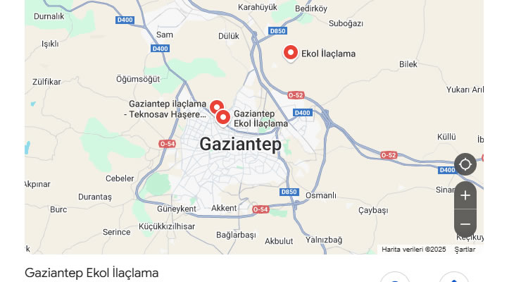 Yerel SEO / Google Benim İşletmem