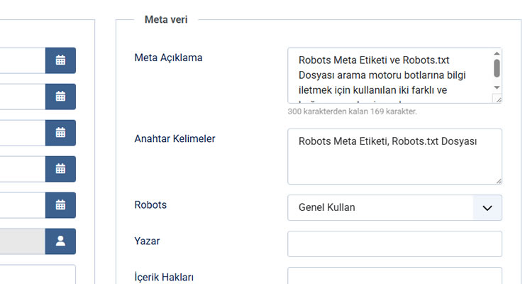 Robots.txt ve Meta Etiketi